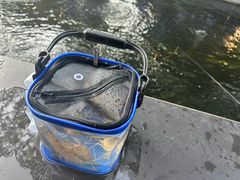 -DGE季风钓虾营地·团建·聚会