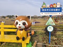 -苏州太湖西山岛开心农场