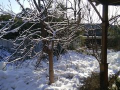 -静之湖湖畔餐厅