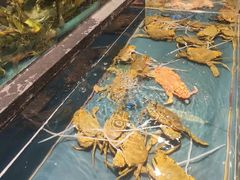 -龙宴海鲜城(经中路店)