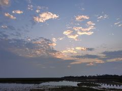 -北海金海湾红树林生态旅游区