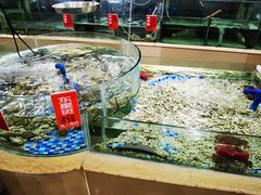 -南庄酒家·海鲜粤菜·25年老字号(环城南路店)