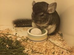 -龙猫仔乐园(惠福东路店)