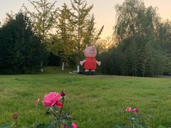 -北京园博大酒店