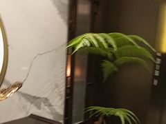 -碧澄保健(东风西路店)