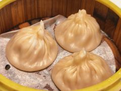 -东方早茶 海鲜•青岛菜(国信体育中心店)