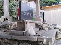 -青岩寺风景区