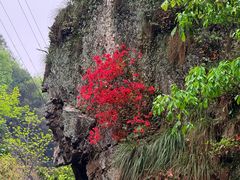 -夏霖九天银瀑风景区