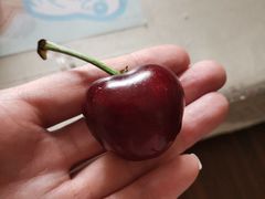 -西郊国际农产品交易中心
