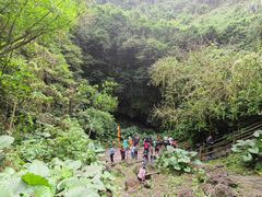 -海口火山口国家地质公园