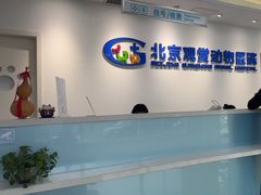 -北京观赏动物医院·24小时大型综合·猫专科·异宠专科