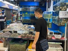 -岳各庄批发市场(西四环中路店)