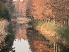 -虎丘湿地公园