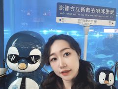 -成都浩海立方海洋公园