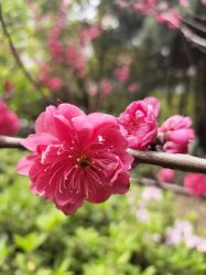 点击看大图 -苏彩·皮肤管理美甲美睫