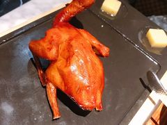-大鸽饭(体育西路店)