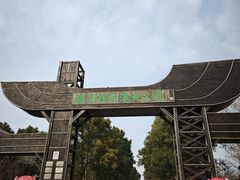 -溱湖国家湿地公园