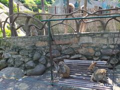 -洛阳花果山景区