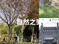 -东湖落雁景区