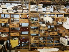 -知物癖(牛王庙店)