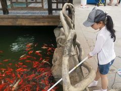 -华夏文旅西安度假区
