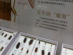 -烟台市博物馆