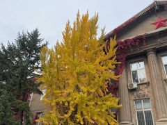 -辽宁大学(崇山校区)