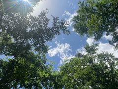 -白水寺森林公园