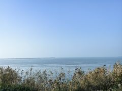 -西京湾花海
