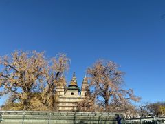 -北京石刻艺术博物馆(五塔寺)