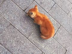 -赤坎老街