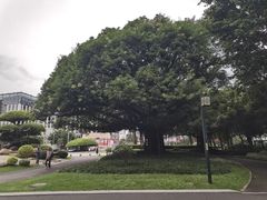 -南宁南湖公园