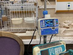 -宠爱国际动物医院· 猫科· 外科·中兽医(长白店)