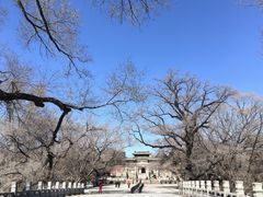 -北陵公园