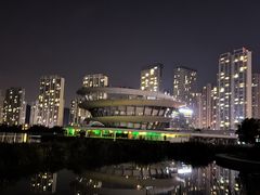 -梅溪湖城市岛