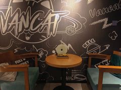 -梵猫·新养生(湛江鼎盛店)