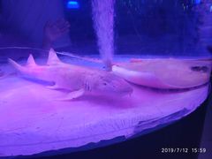 -欧亚达商业广场(红桥店)