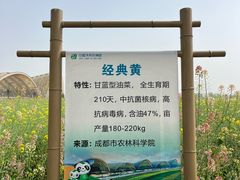 -中国天府农业博览园