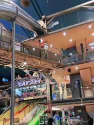 -卡通尼·Safari非洲探索乐园·生日会(金桥国际商业广场店)