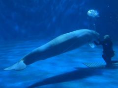 -多彩贵州城极地海洋世界