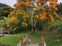 -中国科学院西双版纳热带植物园