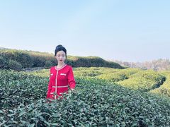 -中国茶叶博物馆(双峰馆区)