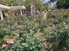 -人民公园(罗湖区)