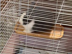 -大象厨房(重庆道店)