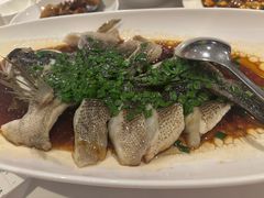 -南麓·浙里(外滩店)