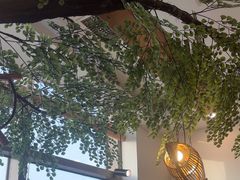 -九田家黑牛烤肉料理(珠江摩尔店)