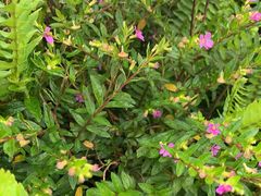 -古宇湖风景名胜区