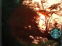 -星巴克(深圳侨城街店)