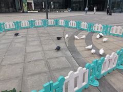 -大族广场Mall&More