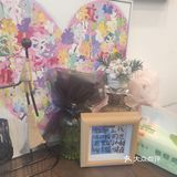 桃味甜品店探店记